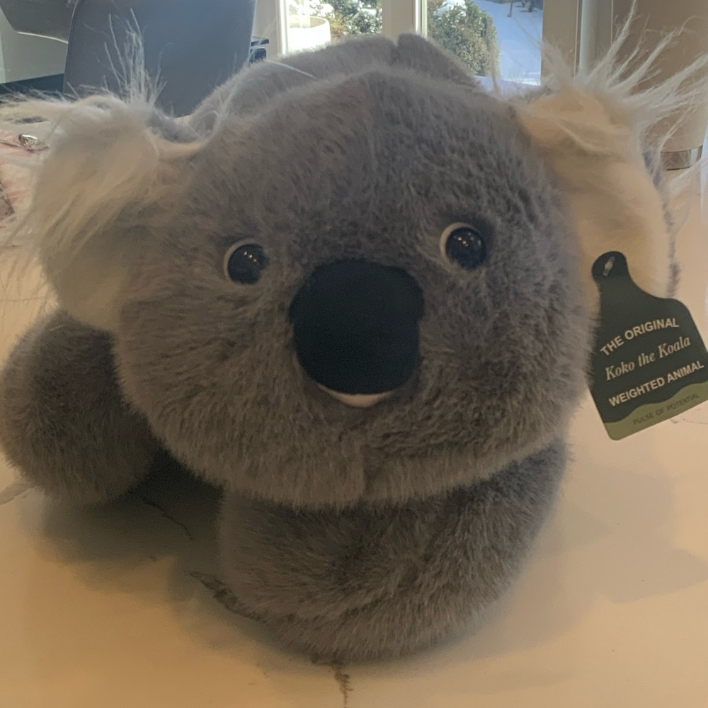 Koko the Koala Weighted Animal-Pulse of Potential